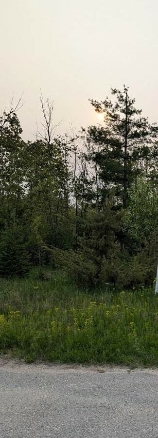 Property Photo: Tbd N E Lot #8 MI 49721