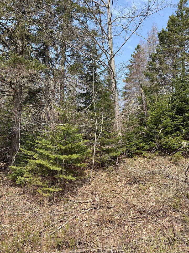 Property Photo:  Hunter Road  NS B0M 1Z0 