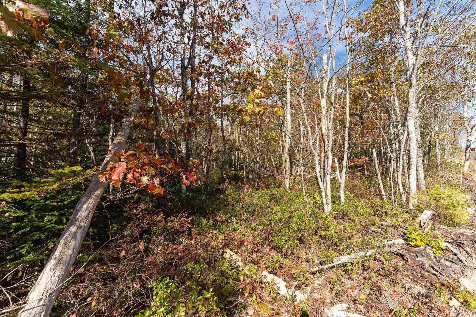 Property Photo: 65 Morton Drive NS B0T 1K0