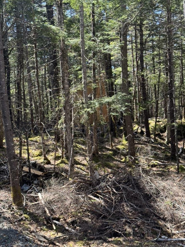 Photo de la propriété:  Lot 66 Summit Ridge Road  NS B0N 2T0 
