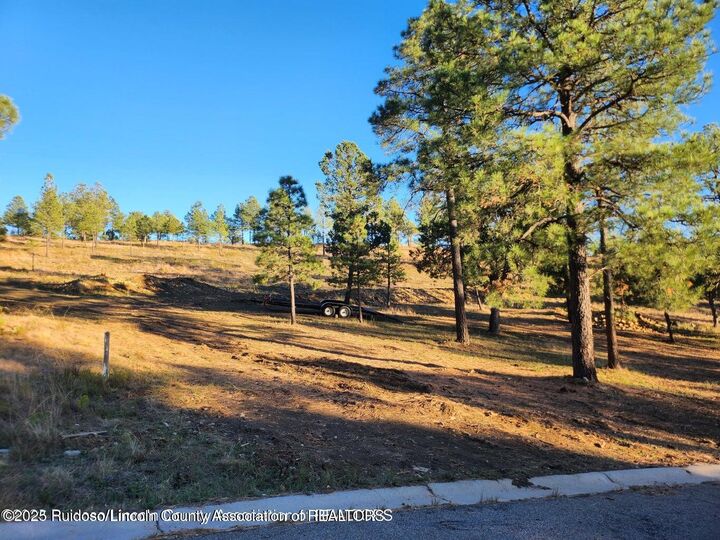 118 Charles McClellan Drive  Ruidoso NM 88345 photo