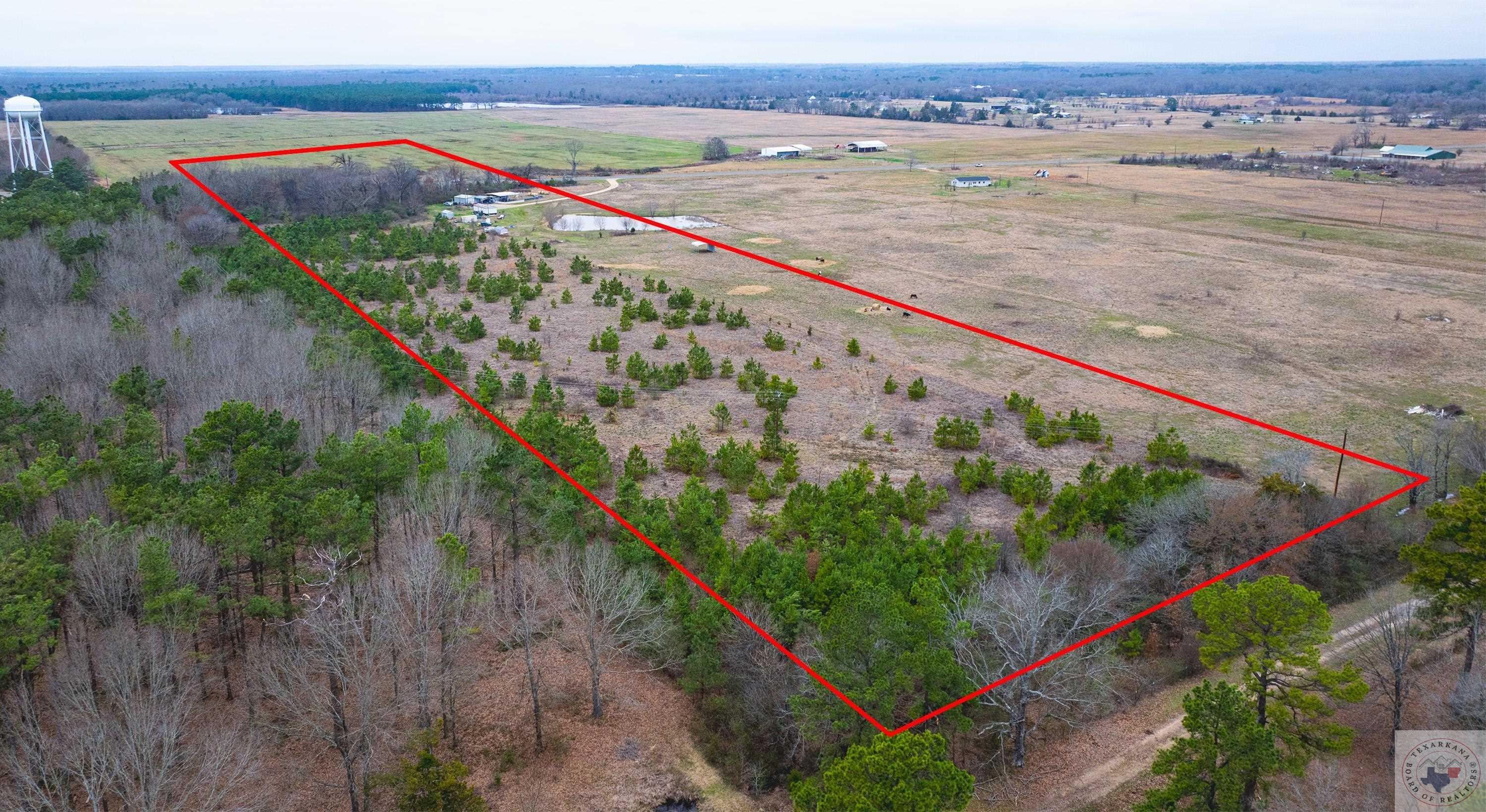 Property Photo:  3141 Hwy 98  TX 75570 