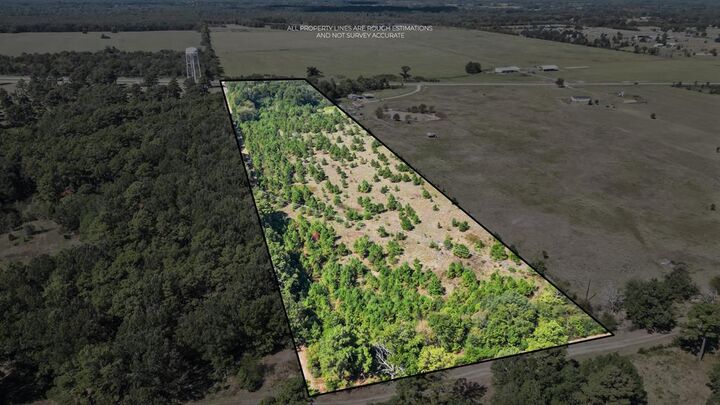 Property Photo:  3141 Hwy 98  TX 75570 