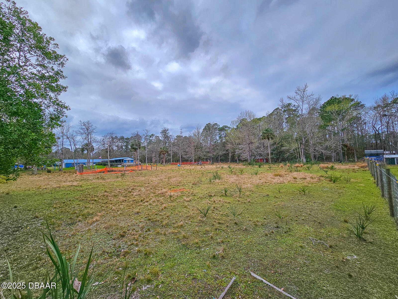 Property Photo:  1812 Papaya Street  FL 32110 