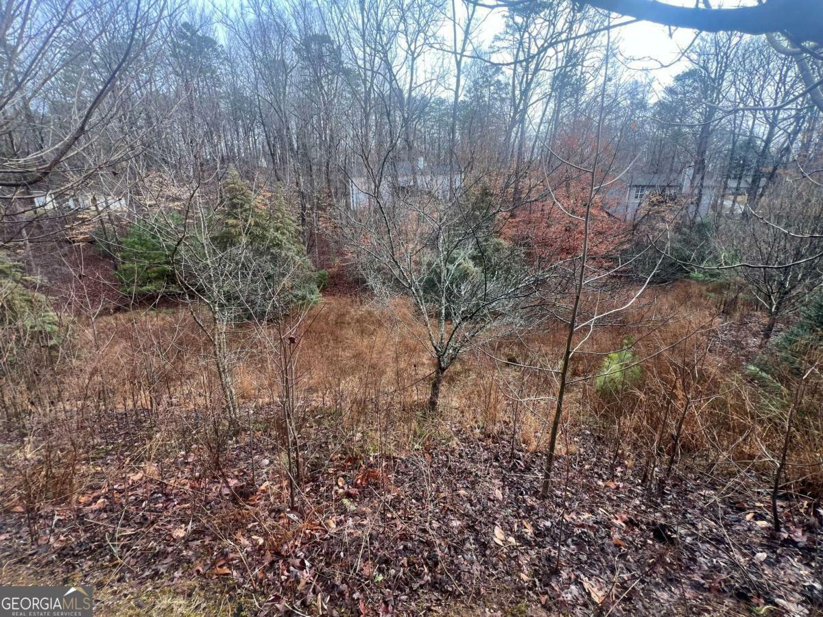 Property Photo: 0 Navajo Circle GA 30501