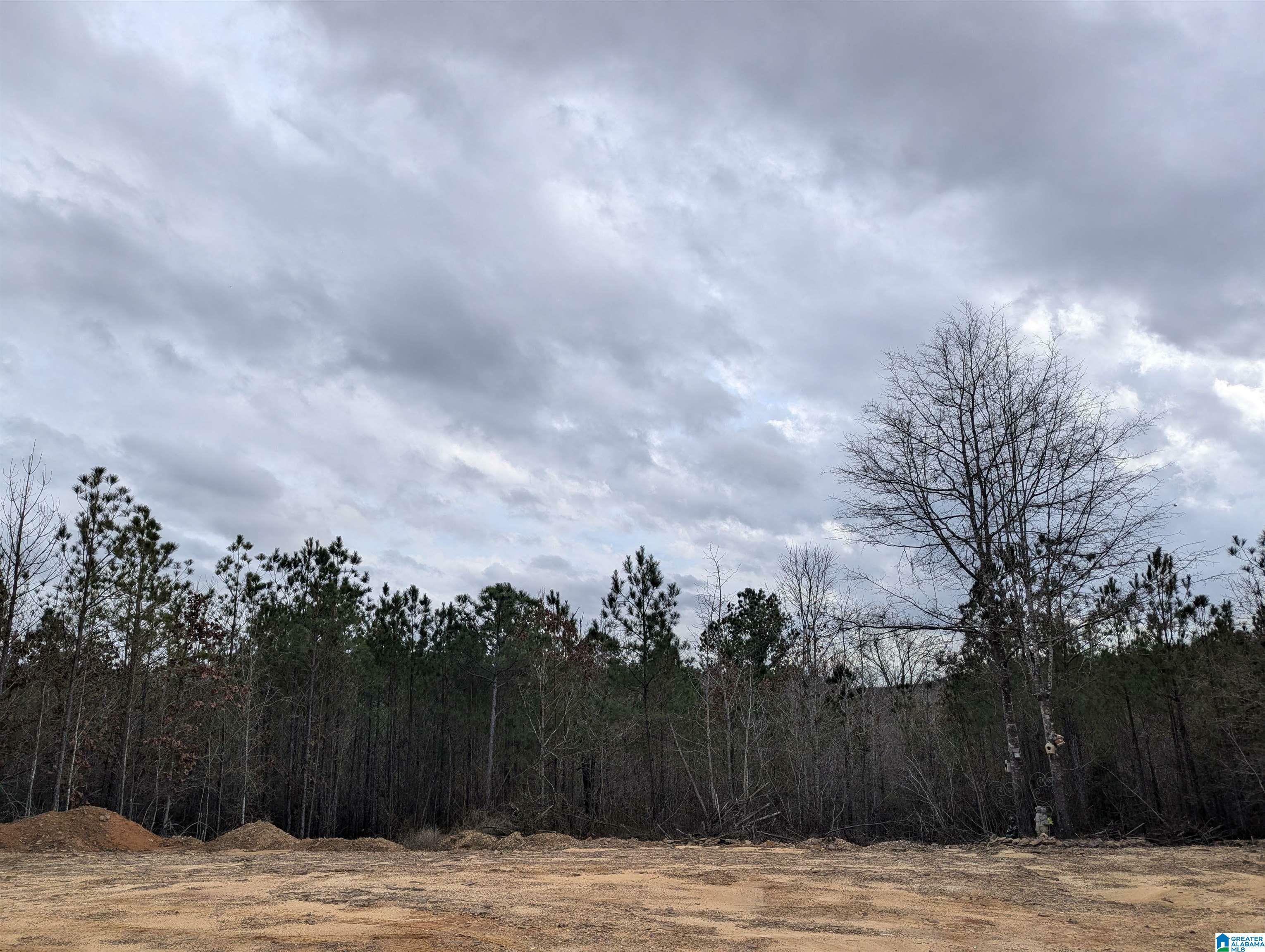 Property Photo:  245 Highway 183 1  AL 36793 