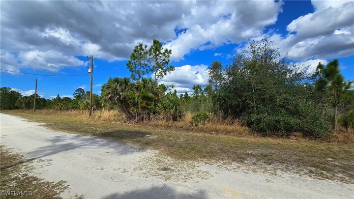 Property Photo:  13520 Carousel Drive  FL 33955 