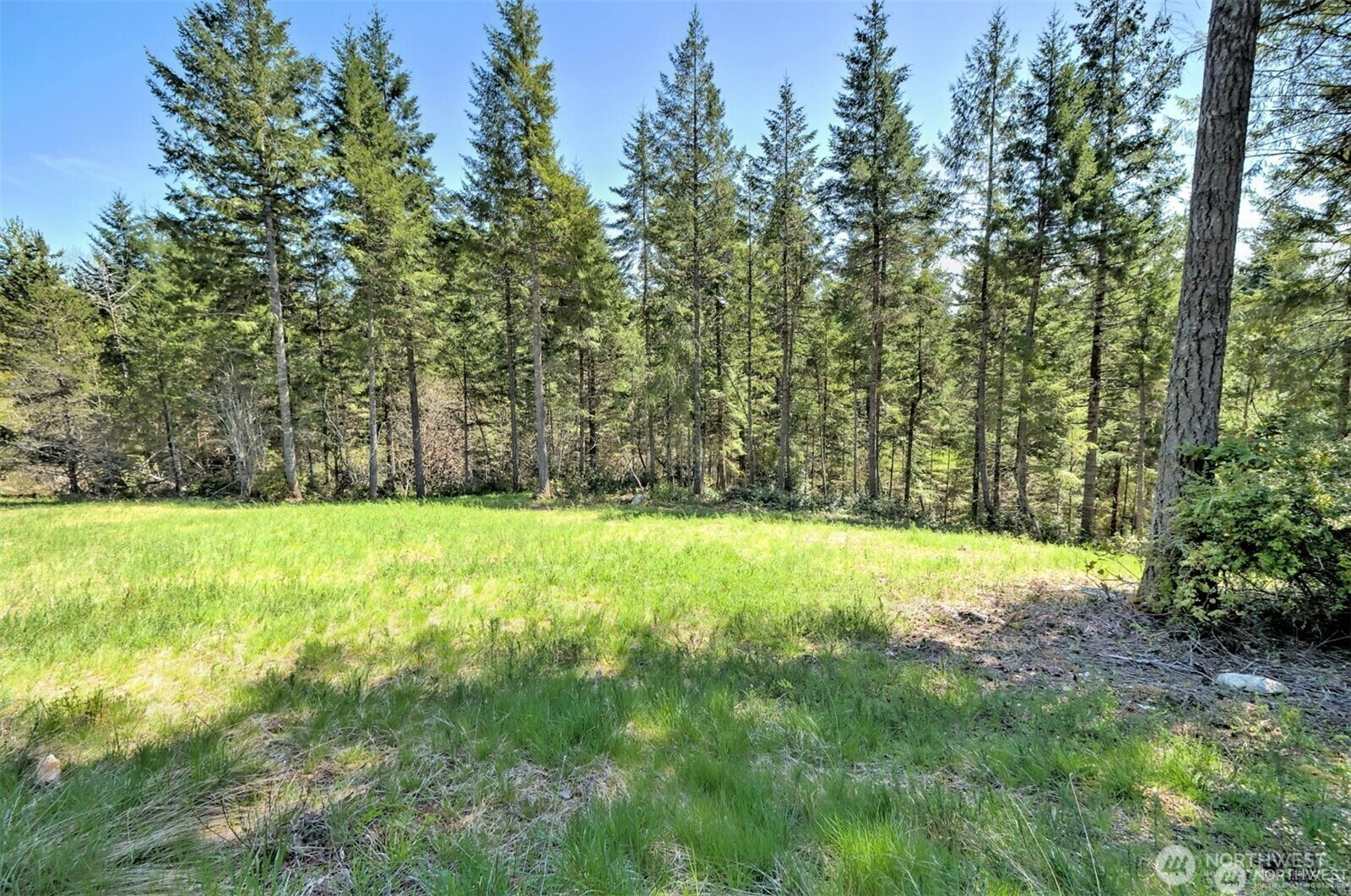 Property Photo:  161 E Lexington Place  WA 98584 