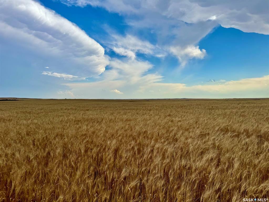 Property Photo:  Rural Address  SK S0H 4M0 