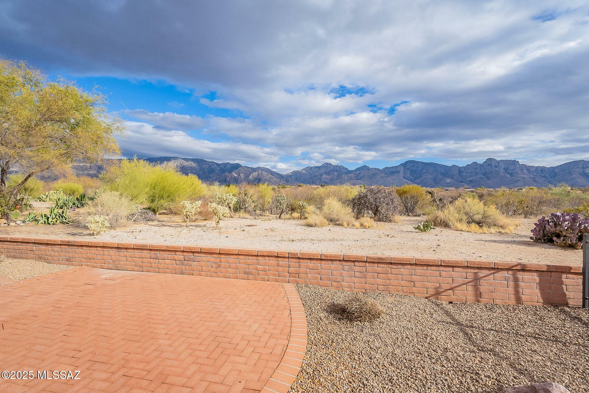 Property Photo:  13688 N Lobelia Way  AZ 85755 