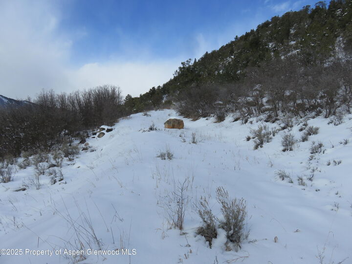 Property Photo:  Tbd 117 County Road  CO 81601 