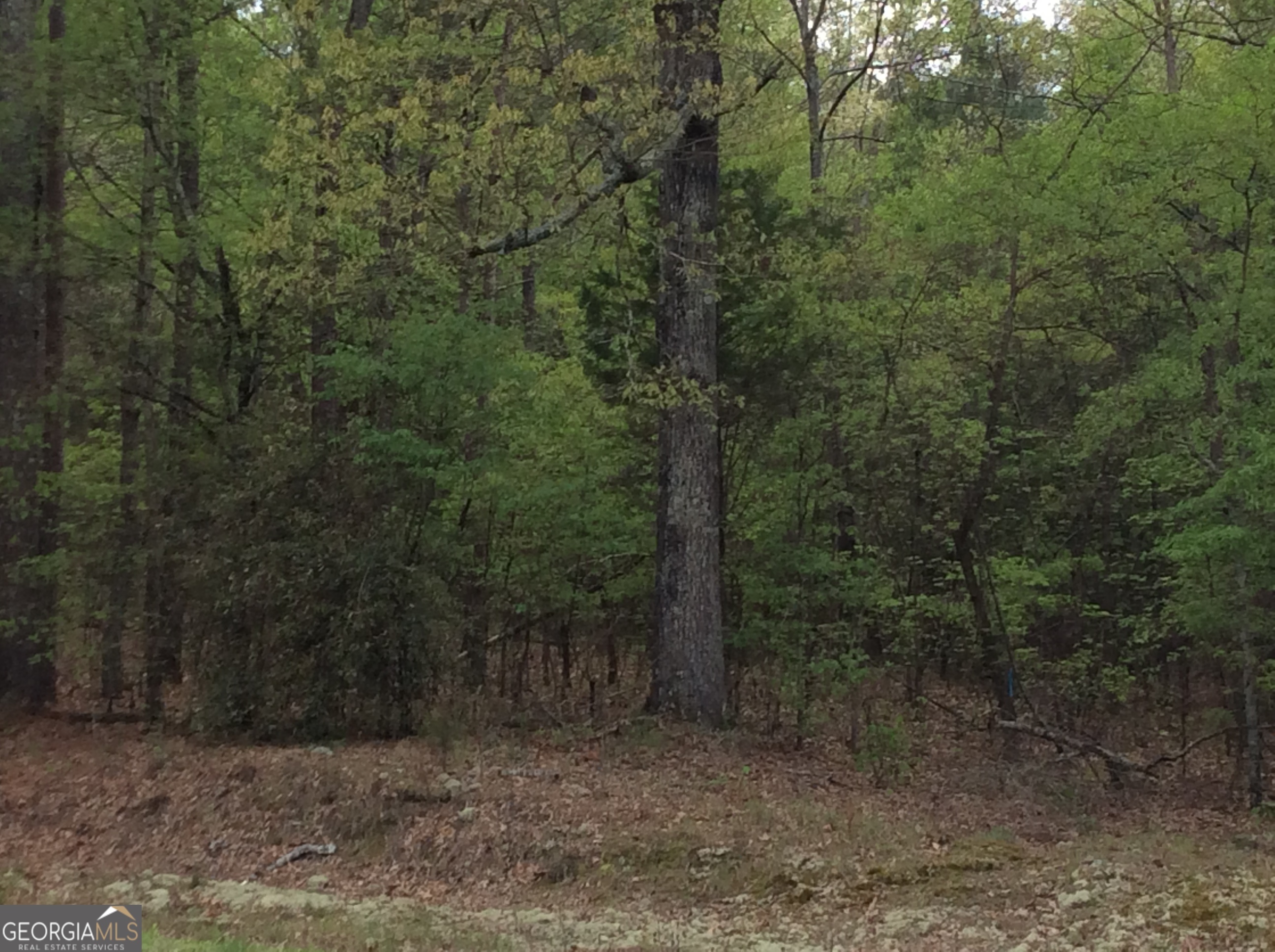 Property Photo: 2476 Rockbridge Road NW Lot 18 GA 30012