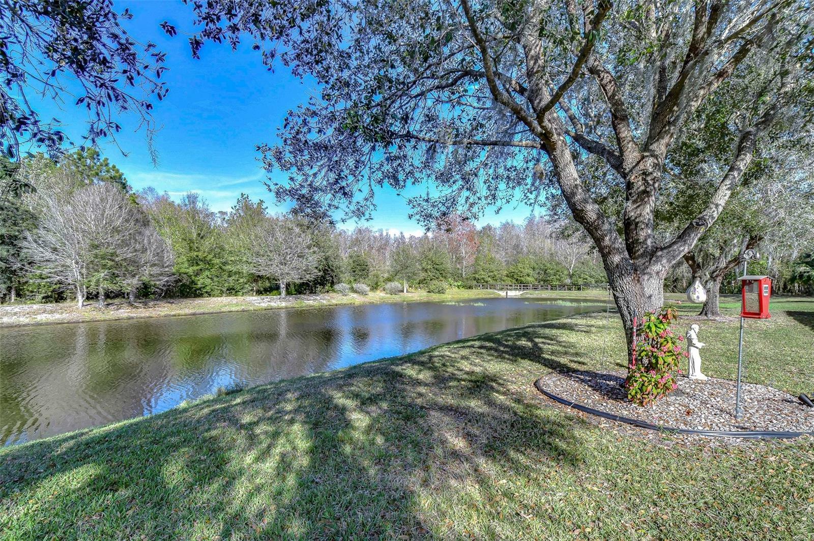 Property Photo: 31841 Larkenheath Drive FL 33543