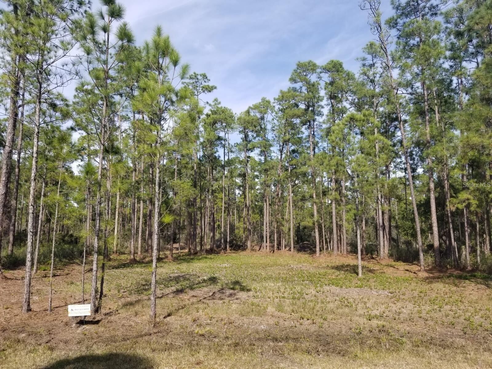 Property Photo:  Alba Drive  FL 33855