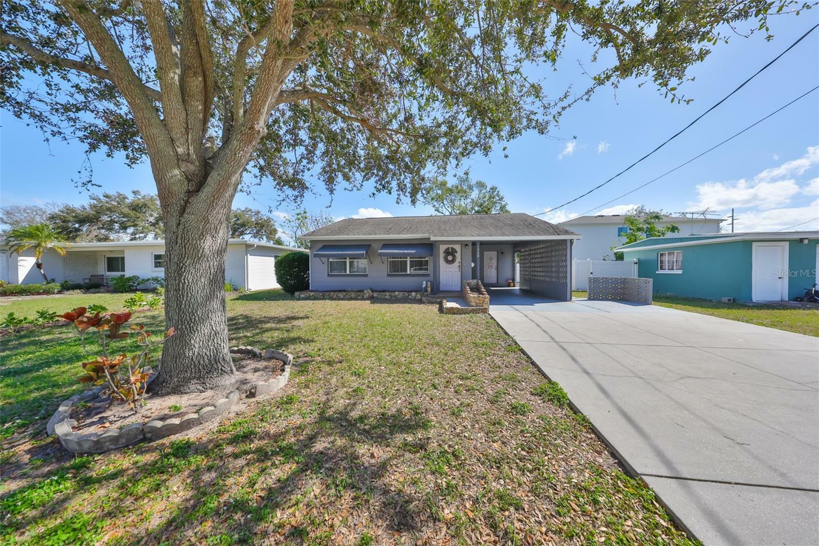 Property Photo:  1520 S Richard Avenue  FL 33629 