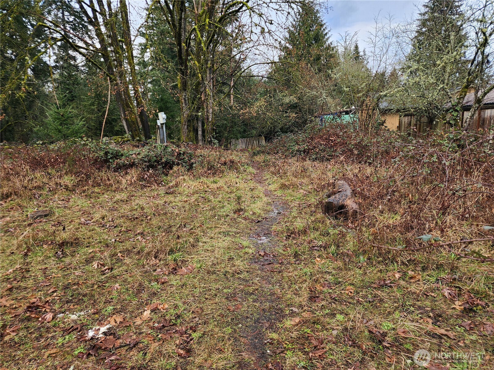 Property Photo:  1720  Dickinson Avenue  WA 98502 