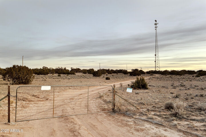 Property Photo:  Lot 78 Witch Well Ranches -- 78  AZ 85936 