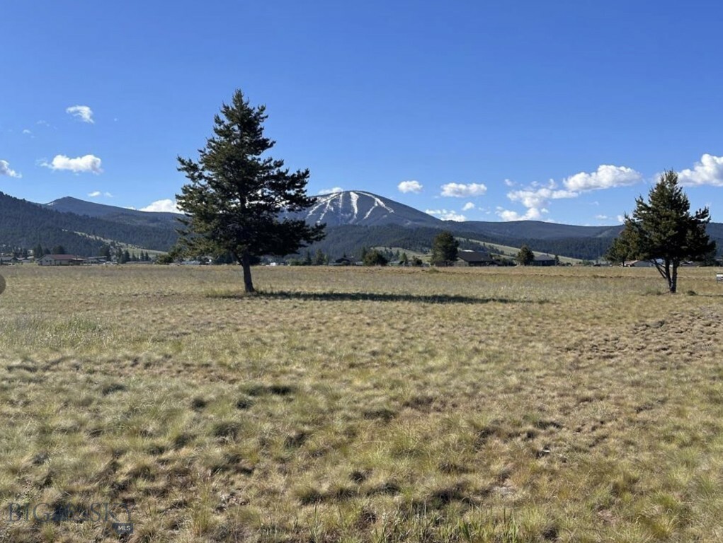 Property Photo:  Tract 60 Whiskey Flats  MT 59858 