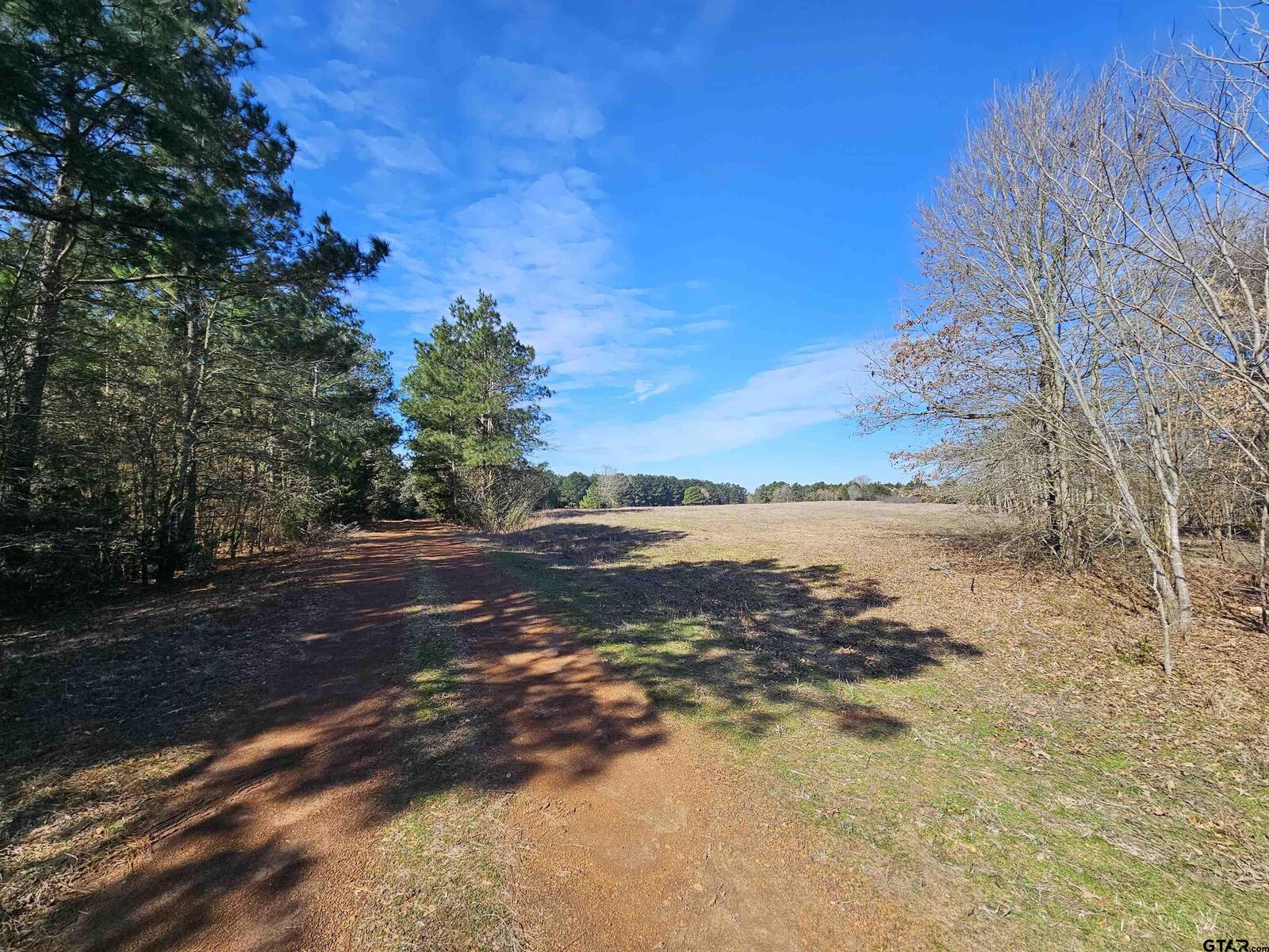 Property Photo:  Tbd Caribou  TX 75644 