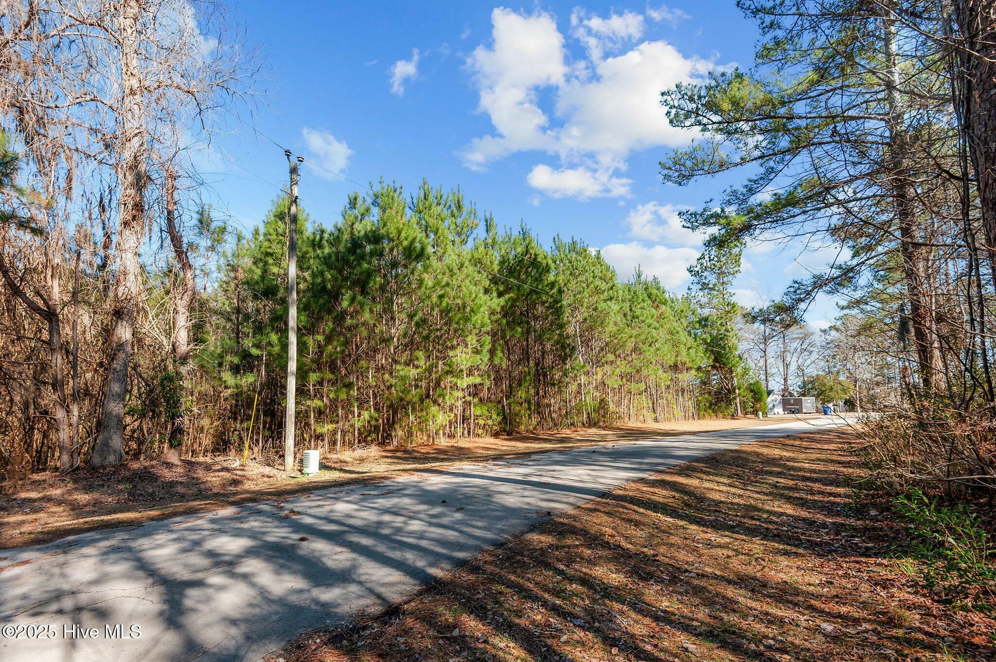 Property Photo:  0 Long Point Landing Road  NC 27817 