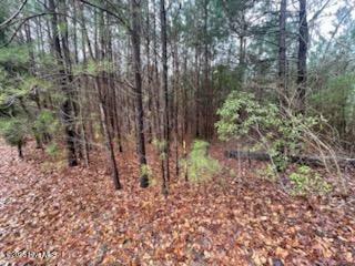 Property Photo: 0 Long Point Landing Road NC 27817