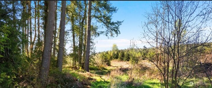 Property Photo:  0  40 Acres 185th Avenue SE  WA 98589 