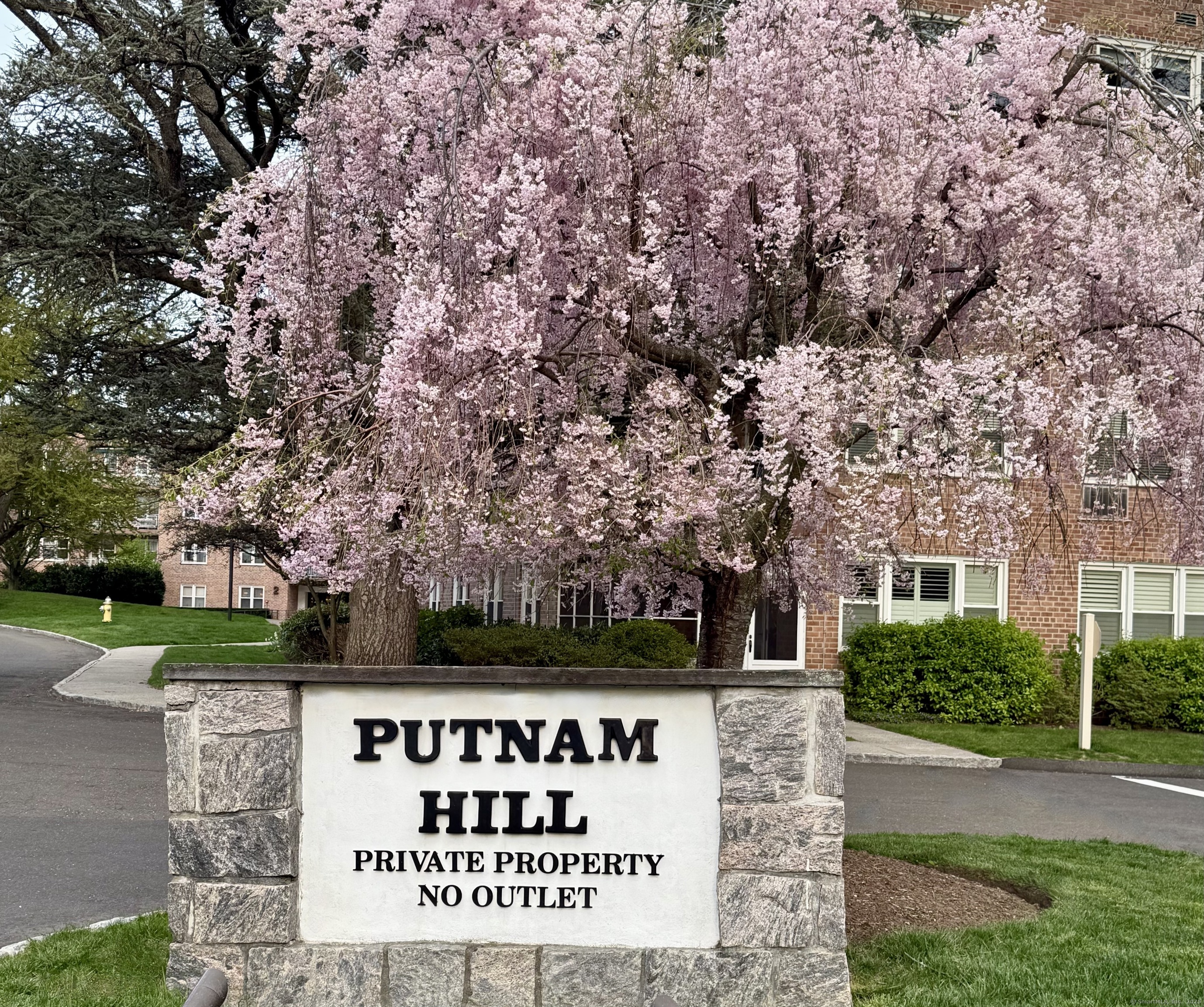 Property Photo:  3 Putnam Hill Road 3F  CT 06830 