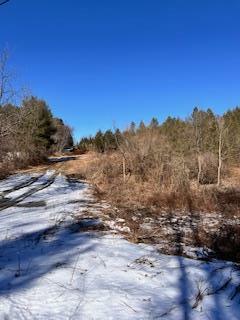 Property Photo:  Greenwood Street  PA 18235 