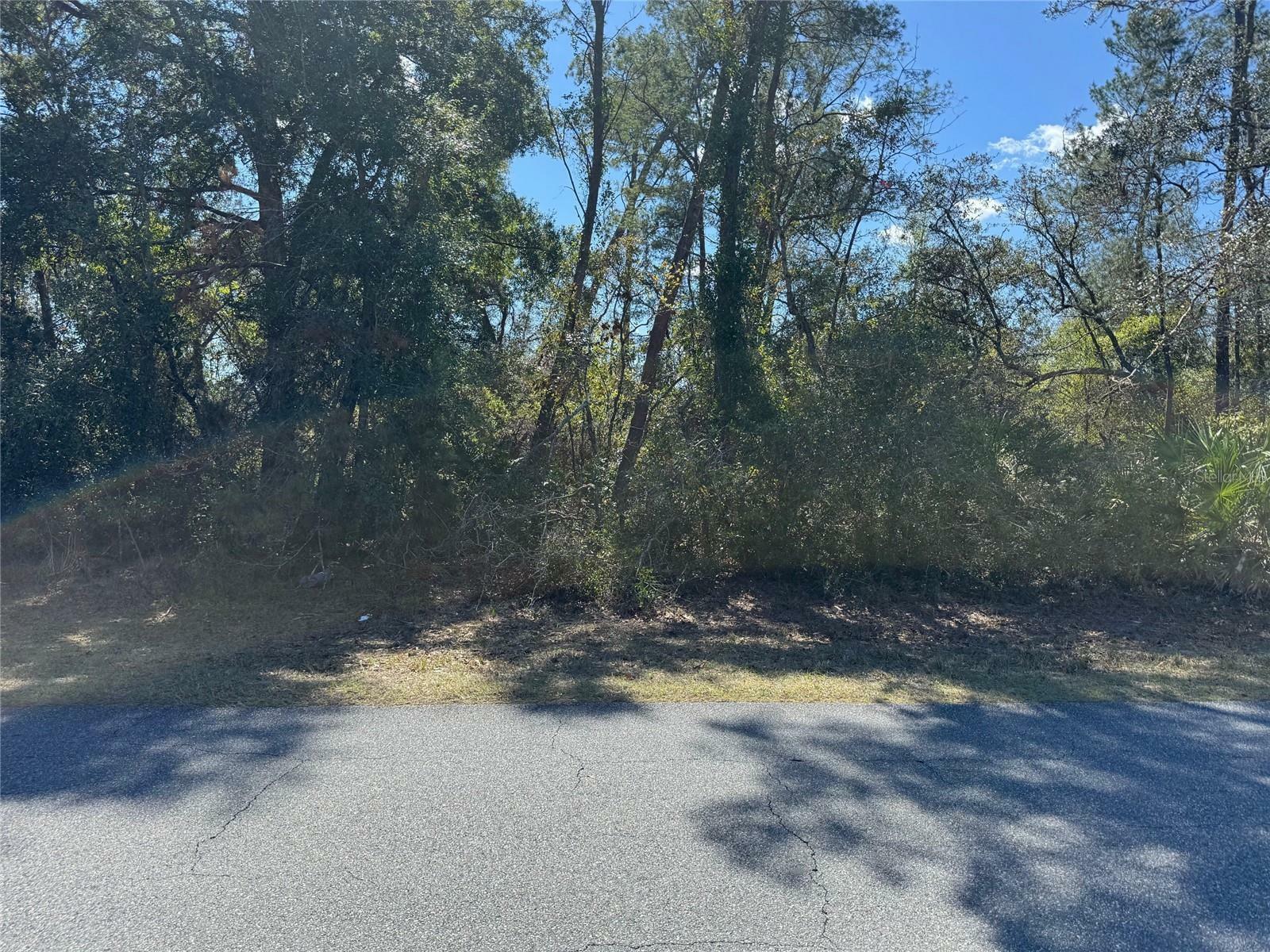 Property Photo:  Lot 14 SW 139th Street Road  FL 34473 