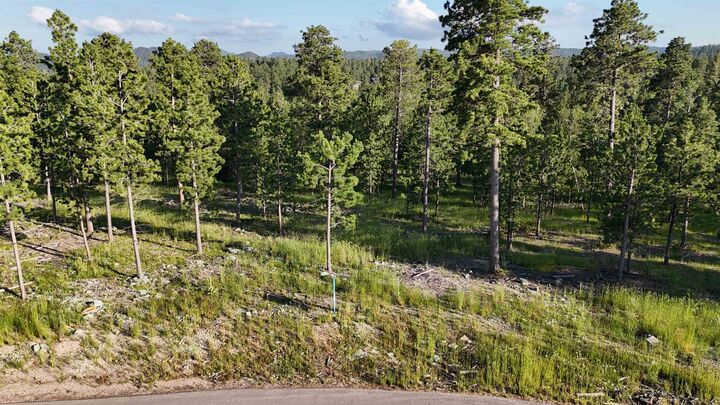 Property Photo: Lot 4 Block 9 Overlook Pass SD 57754-0000