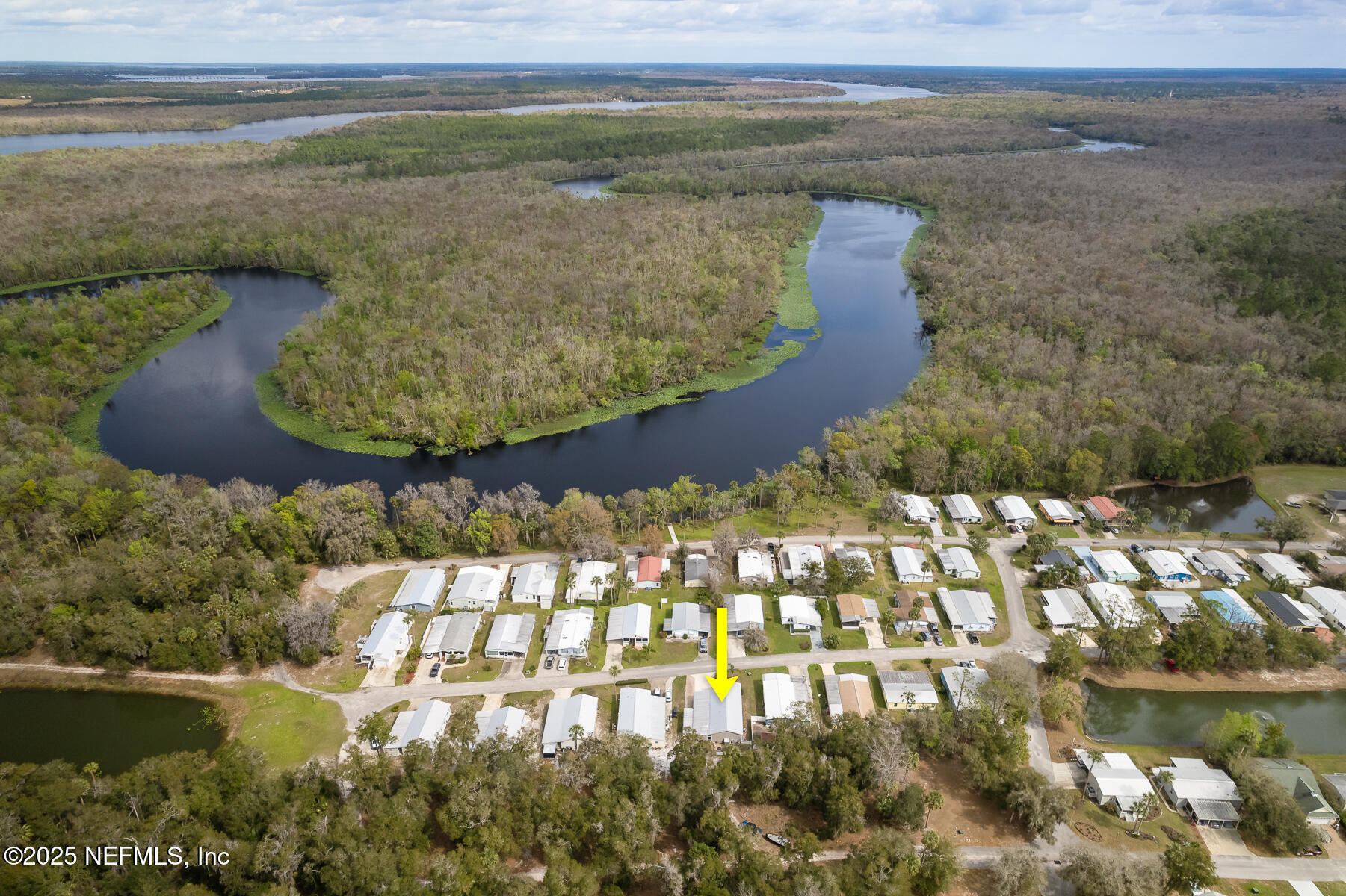 Property Photo: 141 Pine Lake Drive FL 32189
