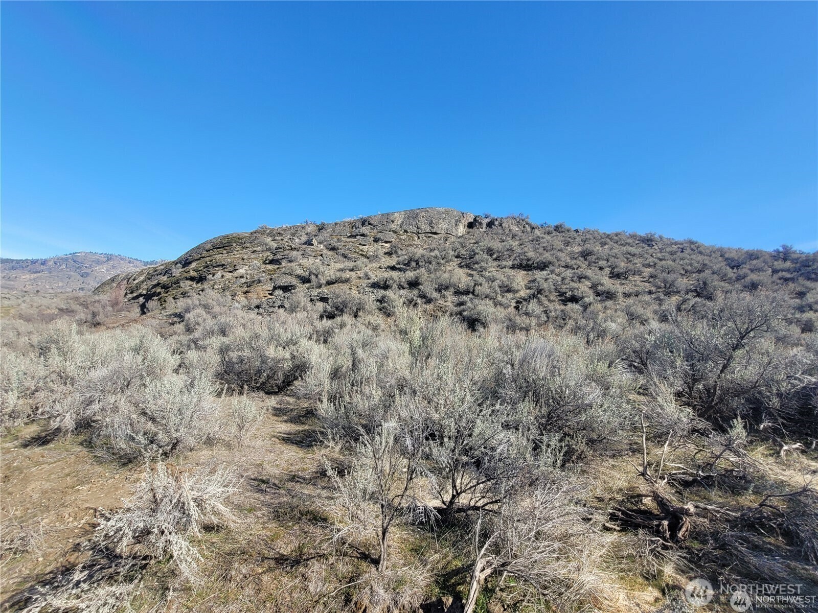 Property Photo: 0 Abie Lane WA 98844