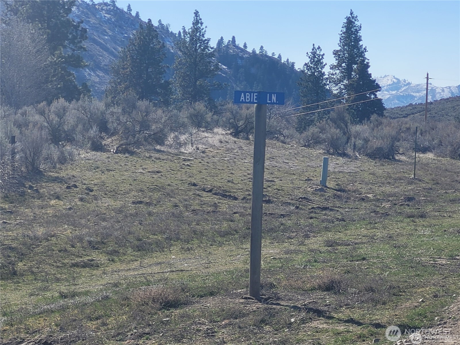 Property Photo: 0 Abie Lane WA 98844