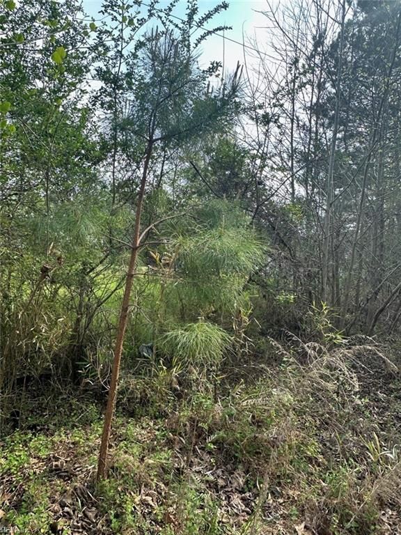 Property Photo: .18ac Clifton St VA 23435