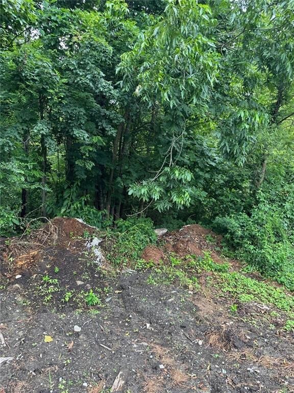 Property Photo: 4225 Clifton St VA 23435