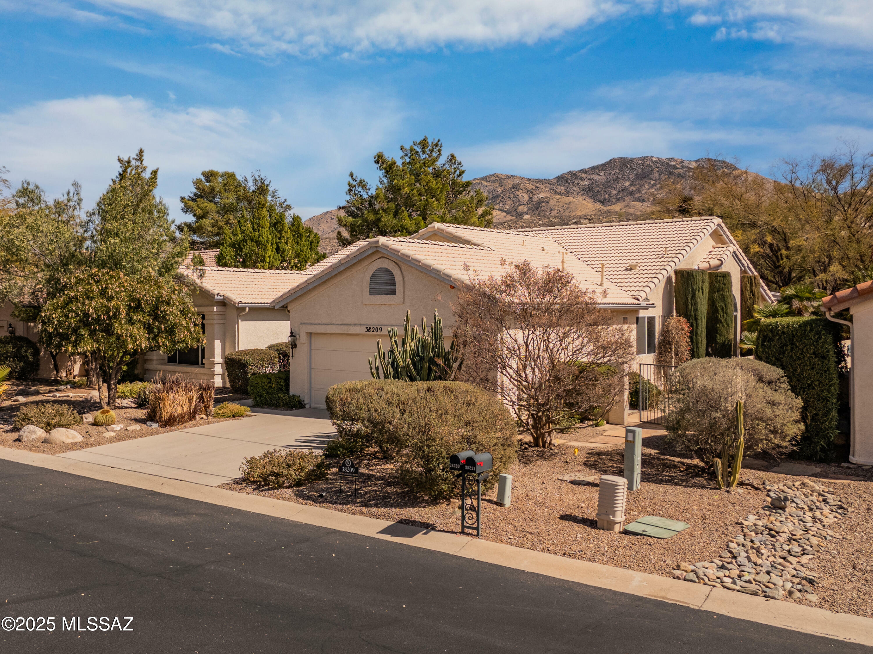 Property Photo:  38209 S Canada Del Oro Drive  AZ 85739 