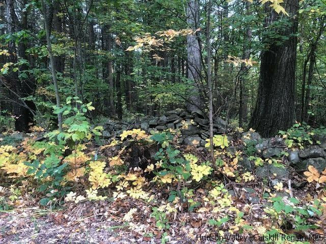 Property Photo:  673 Alcove  NY 12124 
