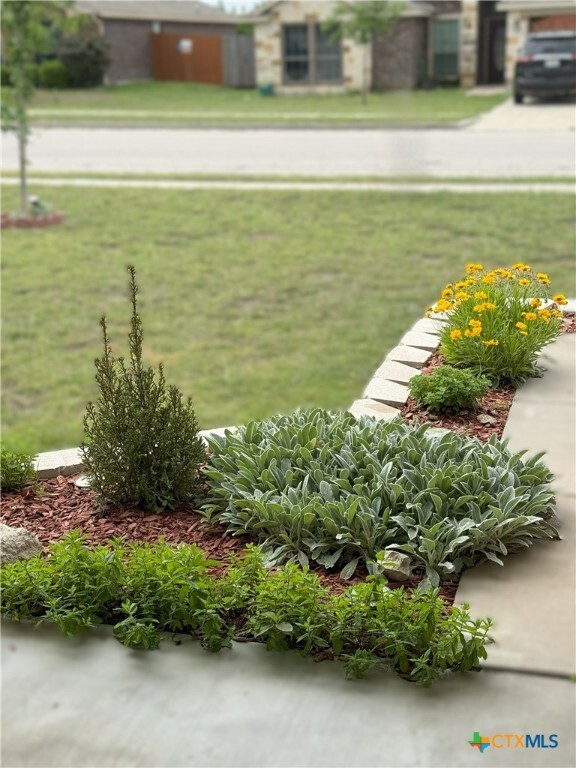 Property Photo: 3434 Horizon Street TX 76522