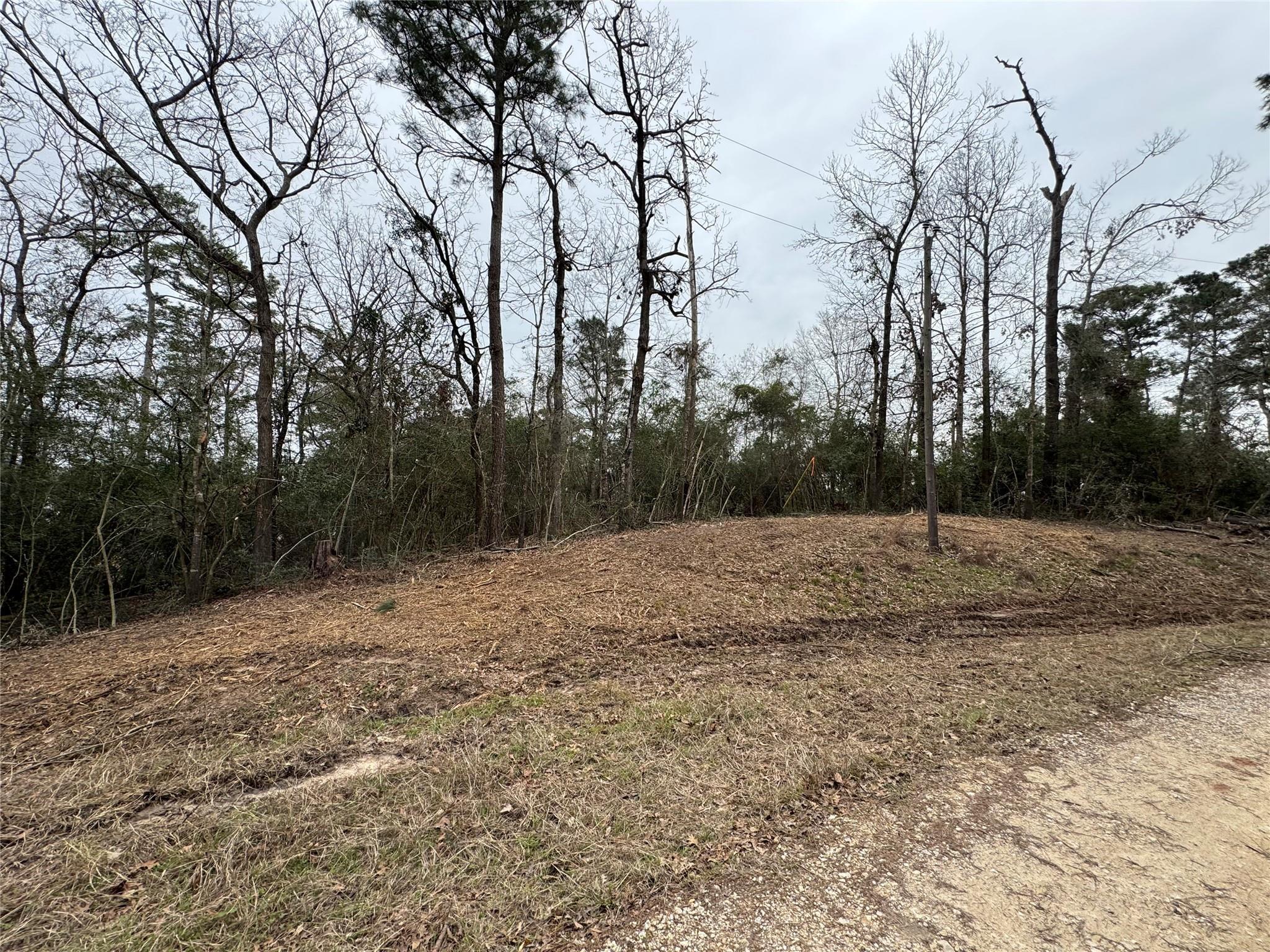 Property Photo: Tbd Wildwood Harbor Circle TX 77360