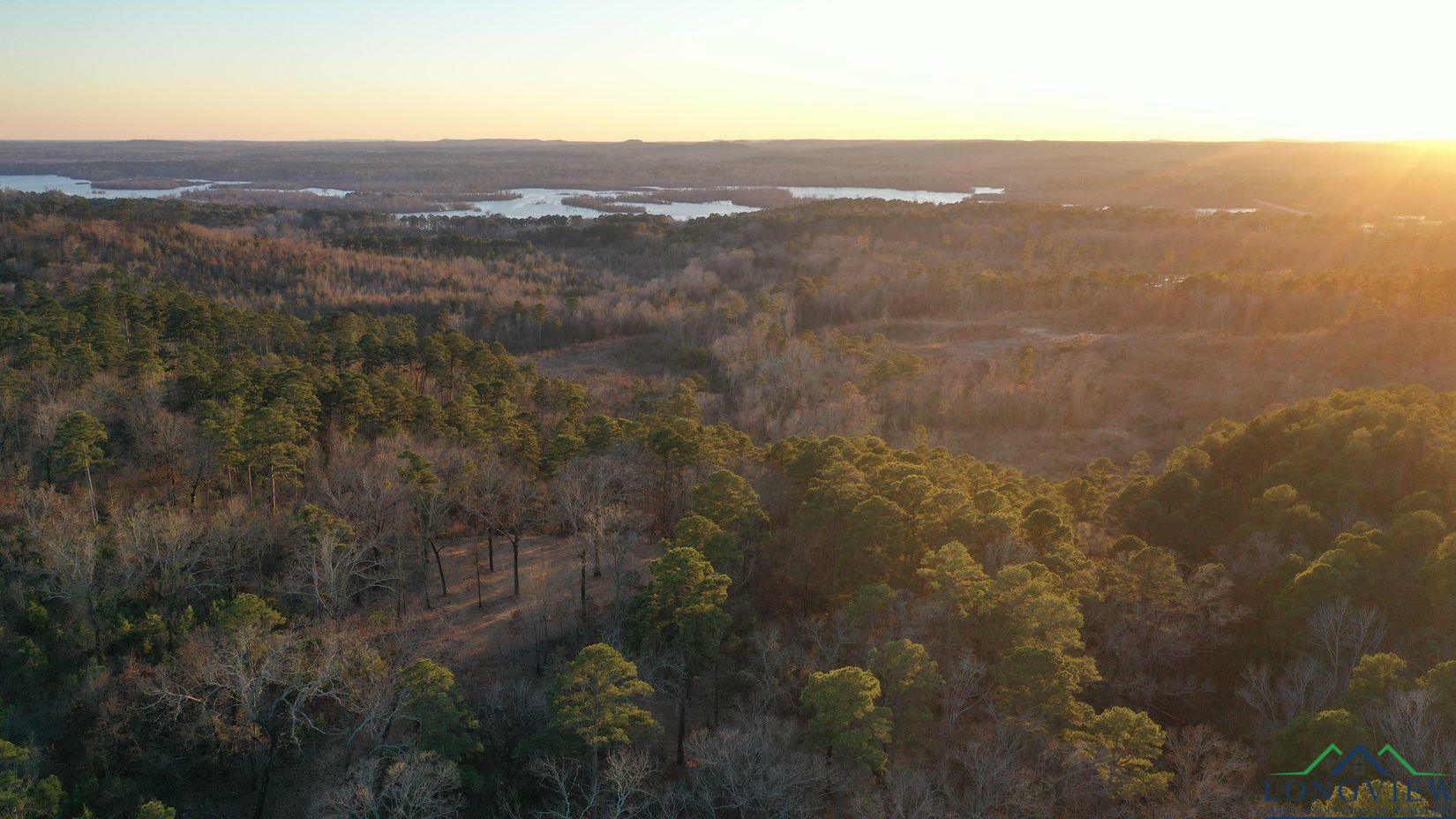 Property Photo:  0001 Hwy 729 Tract 1 N  TX 75668 