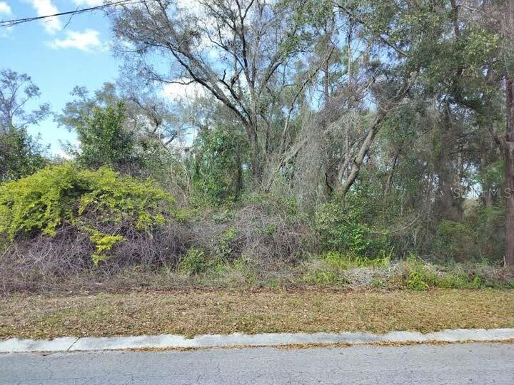 Property Photo: 204 Adelphi Street FL 34452