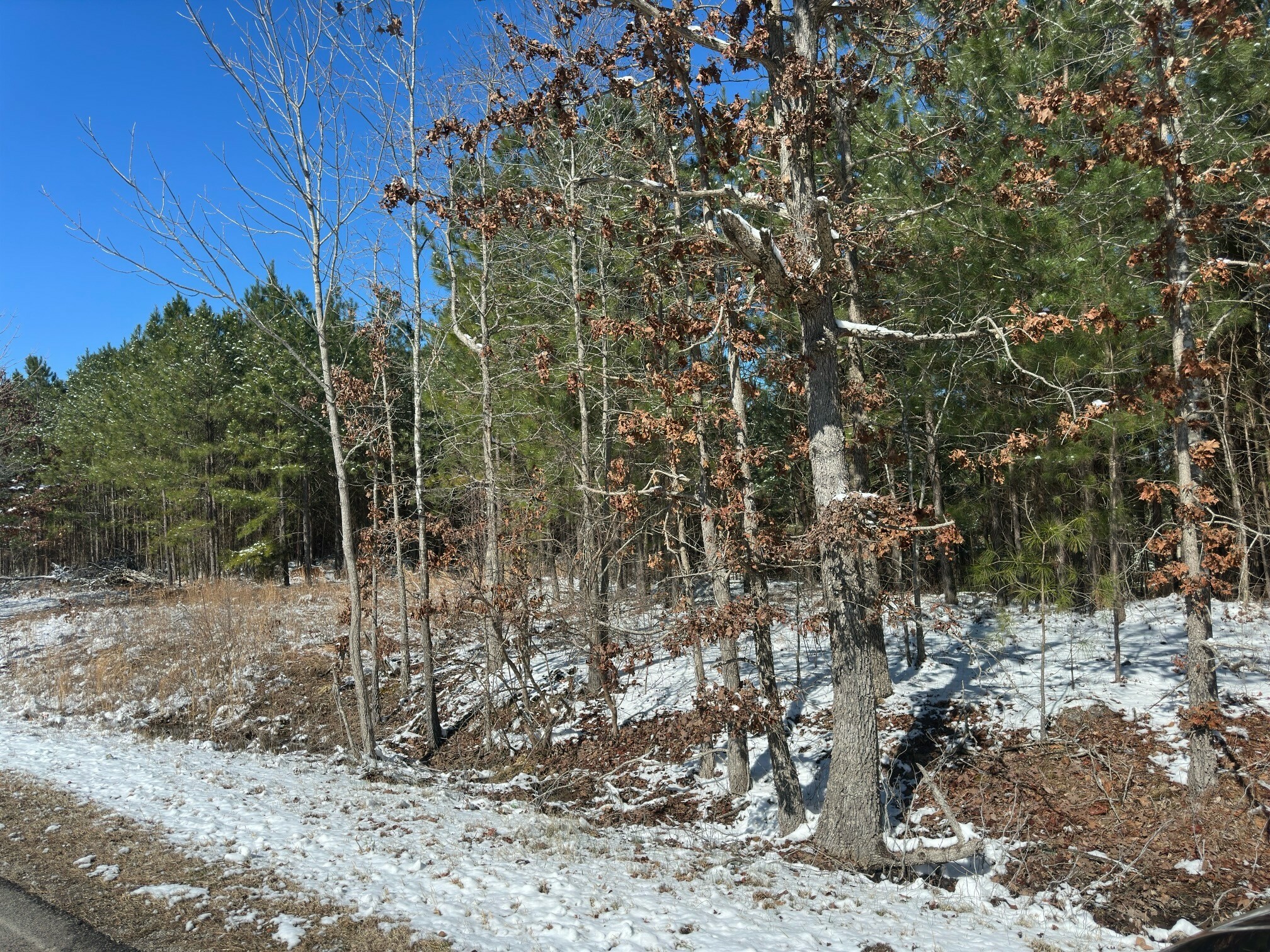 Property Photo:  0 Walnut Grove Rd  TN 37058 