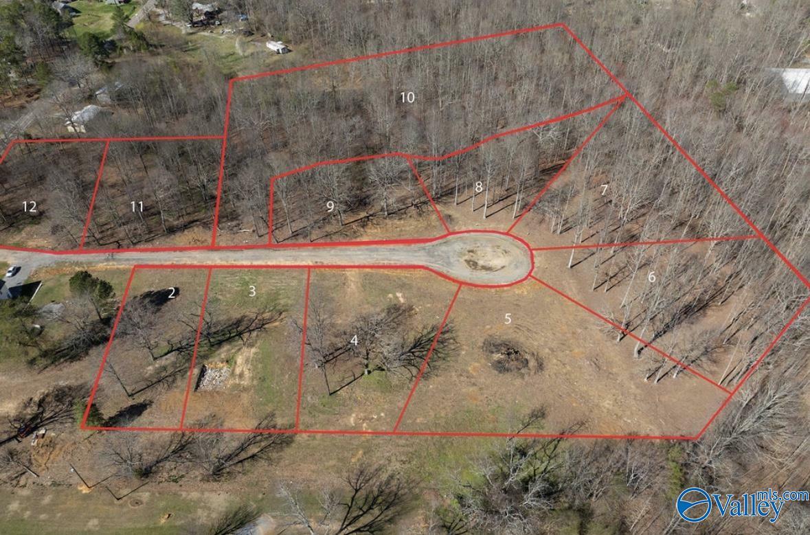 Property Photo: Lot 10 County Road 825 AL 35768