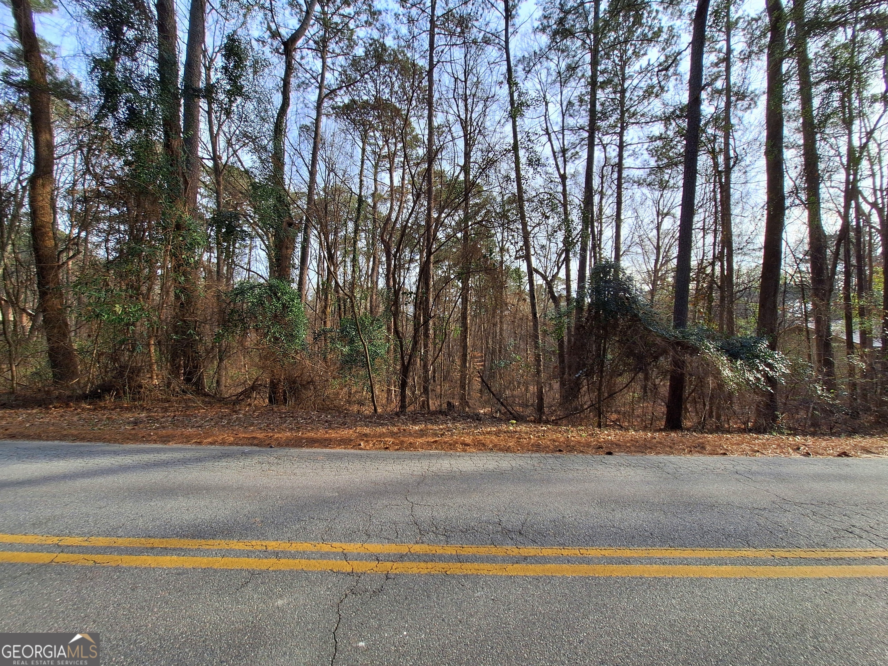 Lot 20 Cardinal Drive  Monticello GA 31064 photo