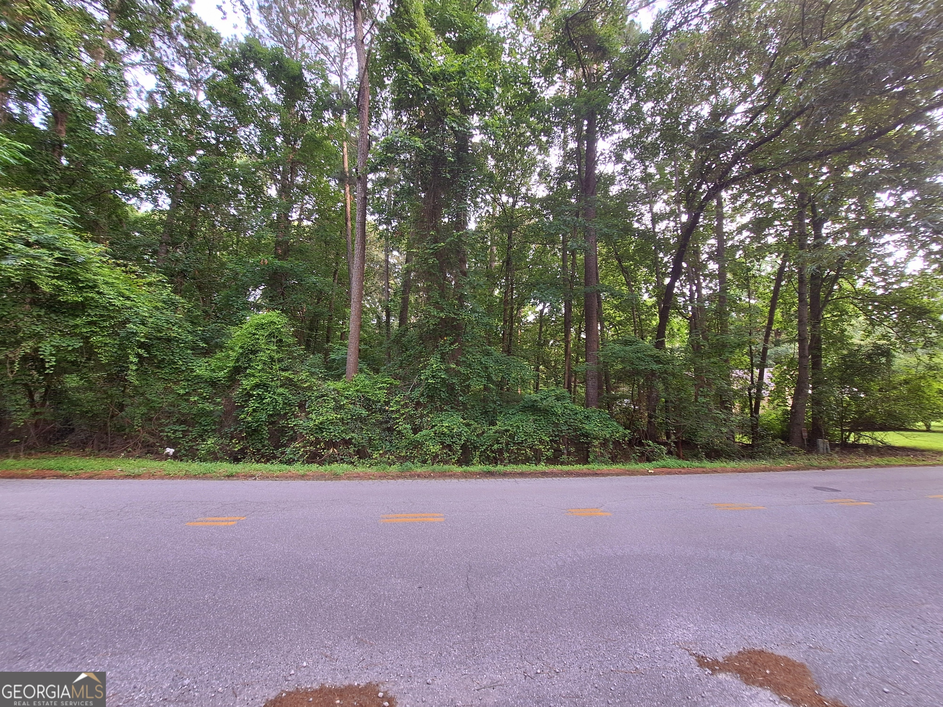 Property Photo: Lot 20 Cardinal Drive GA 31064
