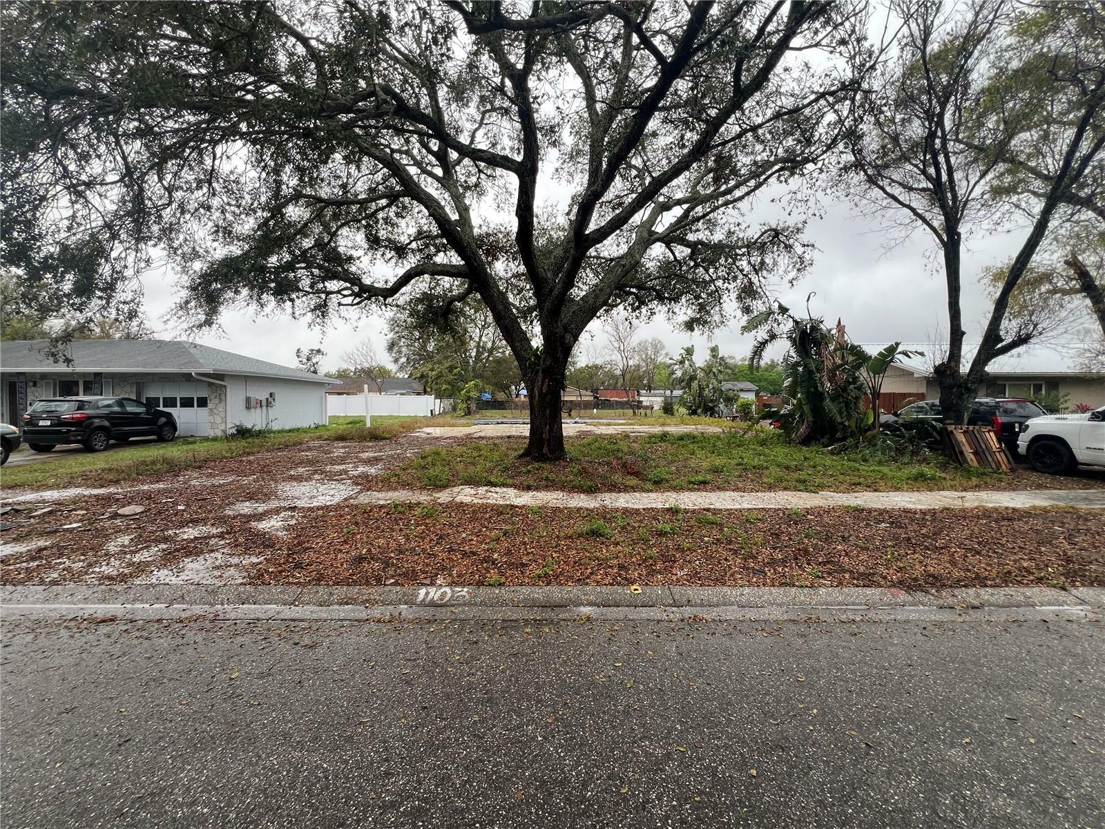 Property Photo:  1103 Sagamore Drive  FL 33584 