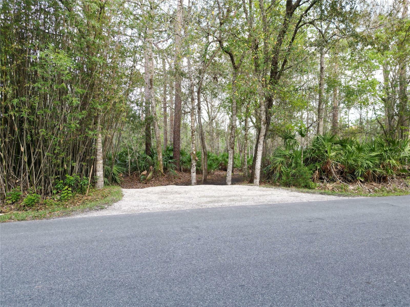 Property Photo:  Fanny Bass Lane  FL 34772 