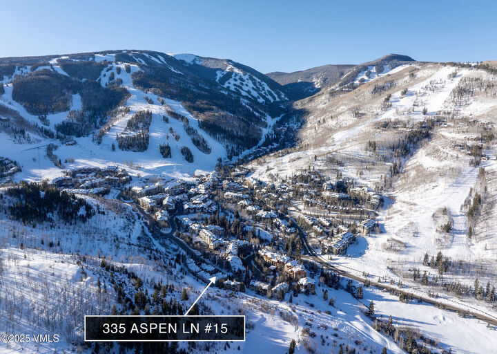 Property Photo:  335 Aspen Lane 15  CO 81620 