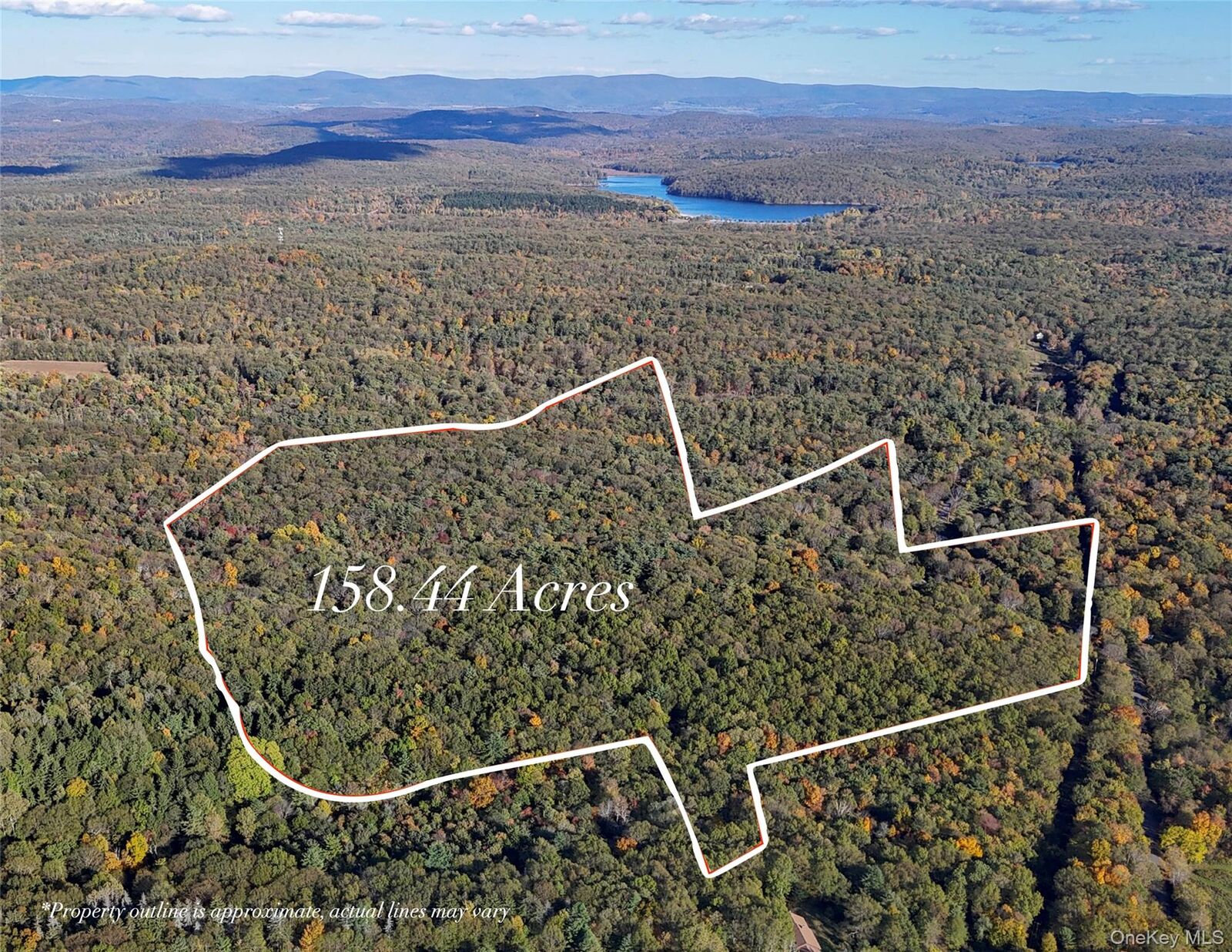 Property Photo:  177 Benton Road  NY 12523 