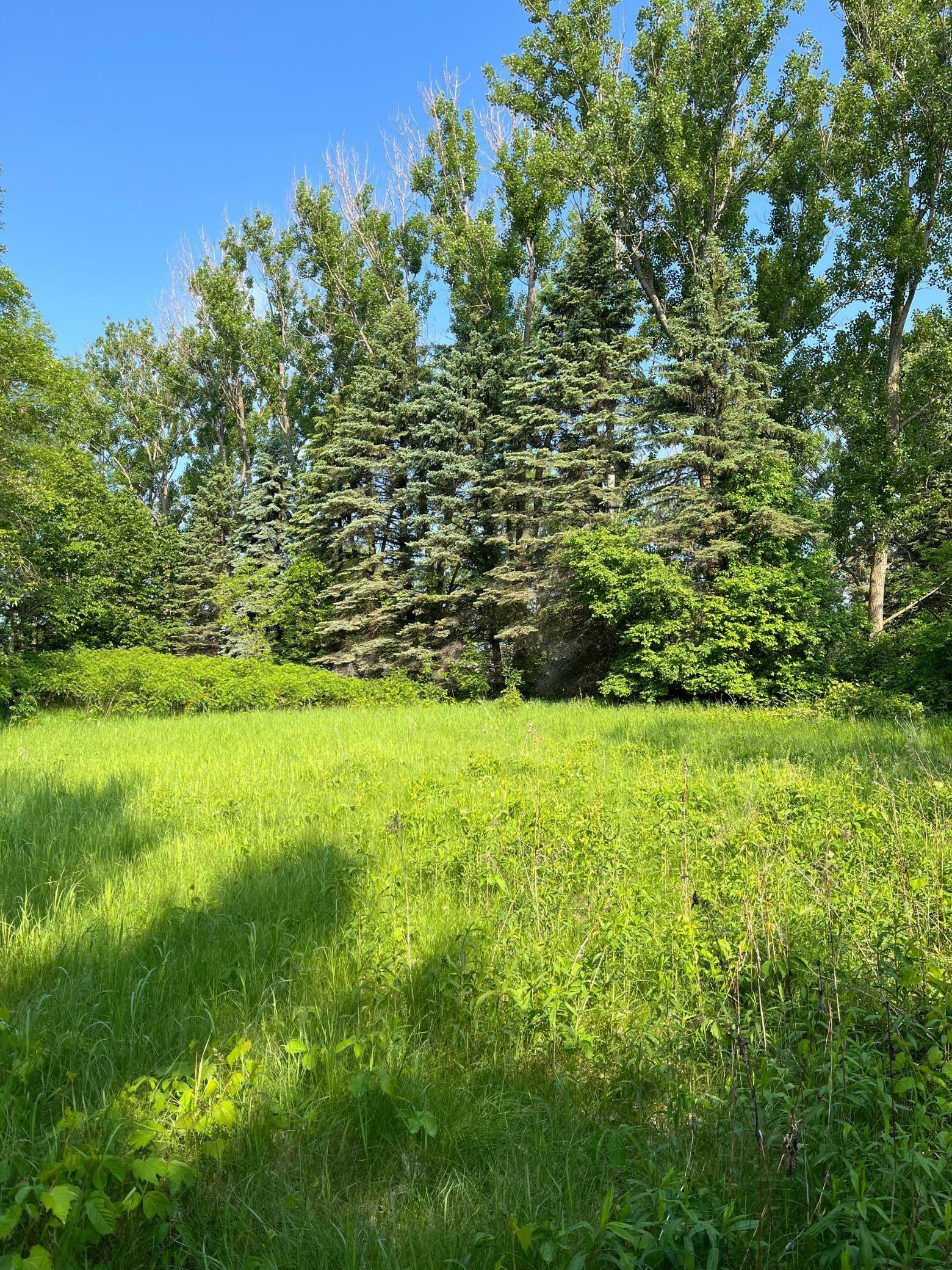 Property Photo: Tbd Wild Rose Trail MN 56544